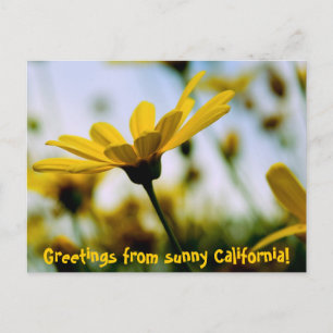 Carte Postale Salutations de la Californie ensoleillée !