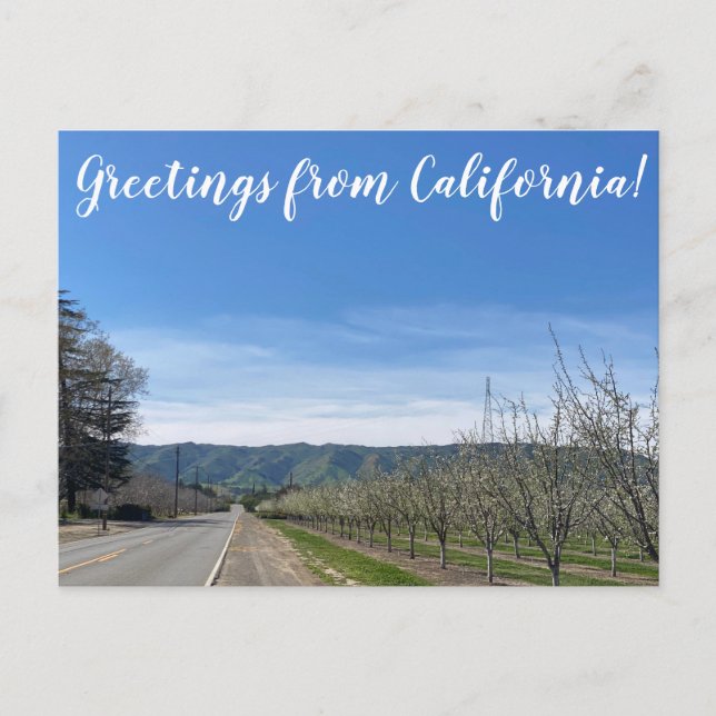 Carte Postale Salutations de la Californie : Putah Creek Road (Devant)