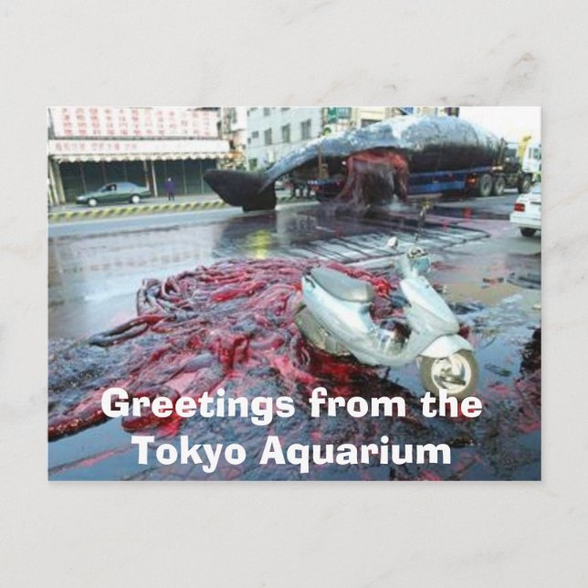 Carte Postale Salutations de l'aquarium de Tokyo (Devant)