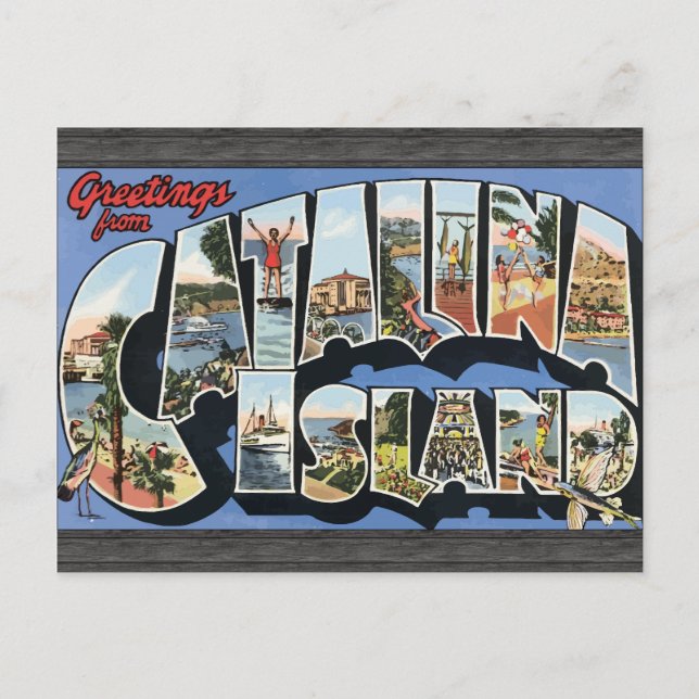 Carte Postale Salutations De L'Île Catalina, Vintage (Devant)