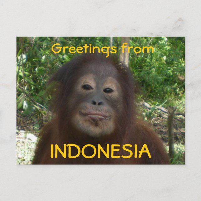 Carte Postale Salutations de l'INDONÉSIE Photo (Devant)