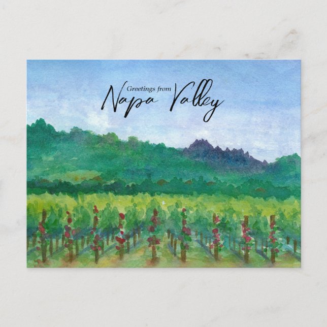 Carte Postale Salutations de Napa Vineyard Red Roses (Devant)