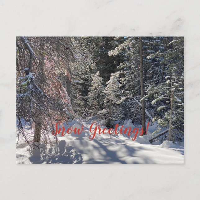 Carte Postale Salutations de neige de Tahoe City ! (Devant)