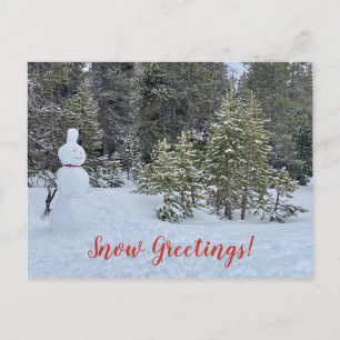Carte Postale Salutations de neige de Tahoe City !