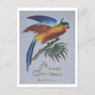 Carte Postale Salutations de Noël vintages de 1905 avec perroque