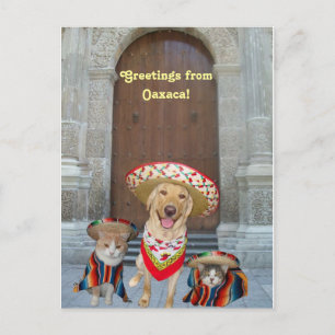 Carte Postale Salutations de Oaxaca