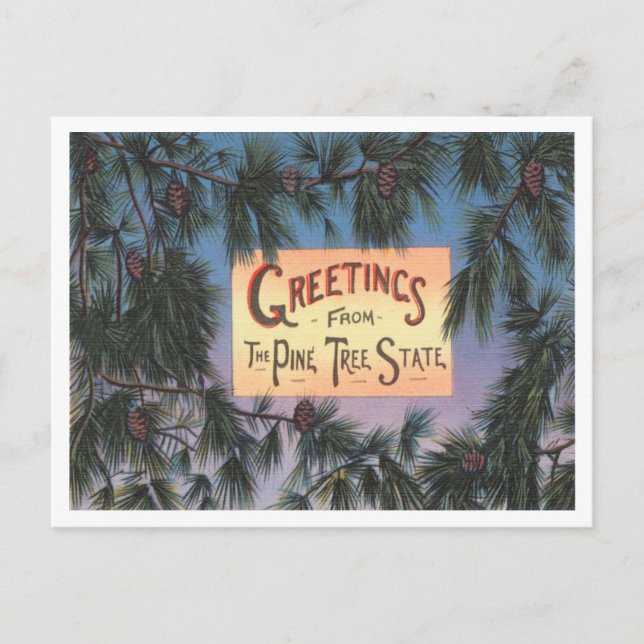 Carte Postale Salutations de Pine Tree State, Maine Travel (Devant)