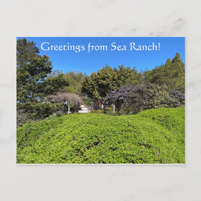 Carte Postale Salutations de Sea Ranch ! (Devant)
