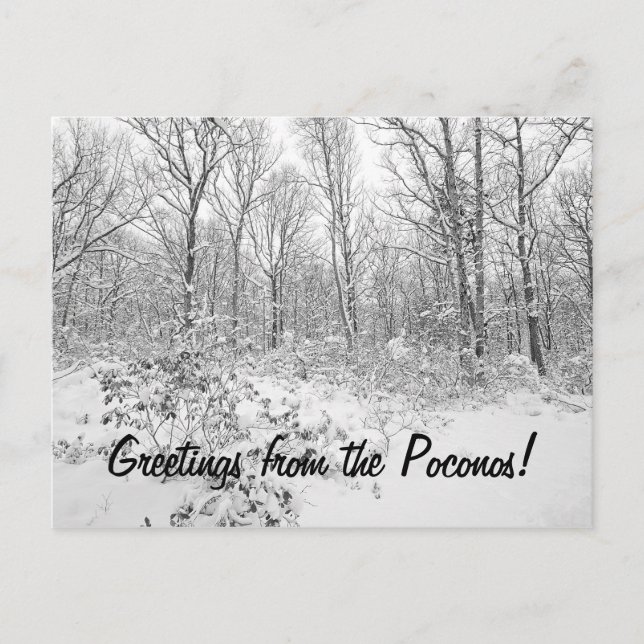 Carte Postale Salutations de Snowy Poconos (Devant)