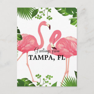 Carte Postale Salutations de Tampa, Floride