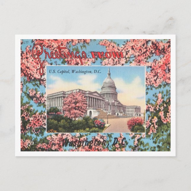 Carte Postale Salutations de U. S. Capitol, Washington, D. C. (Devant)