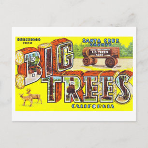 Carte Postale Salutations d'époque de Big Trees, Californie,
