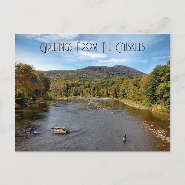 Carte Postale Salutations Des CatSkills (Devant)