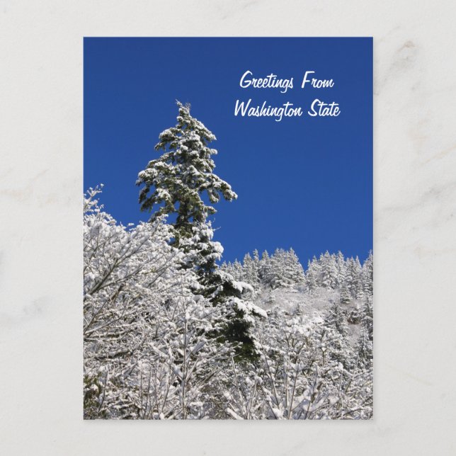 Carte Postale Salutations Des Montagnes Enneigées De Washington (Devant)