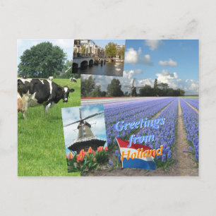 Carte Postale Salutations des Pays-Bas