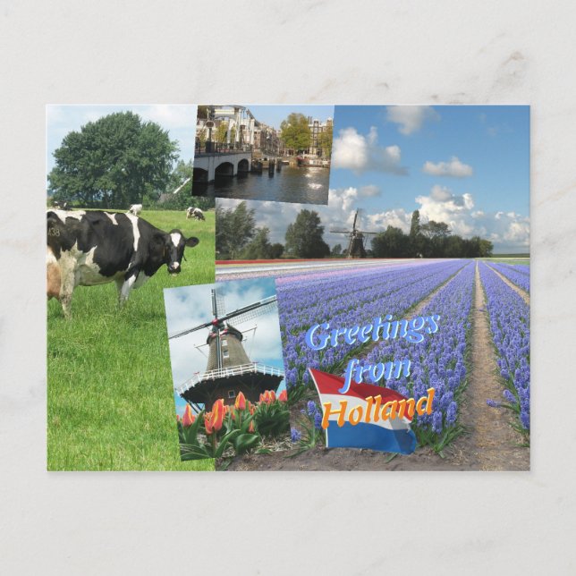 Carte Postale Salutations des Pays-Bas (Devant)