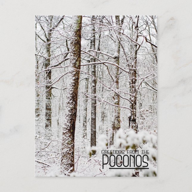 Carte Postale Salutations des Poconos !Bois de Snowy Pocono (Devant)
