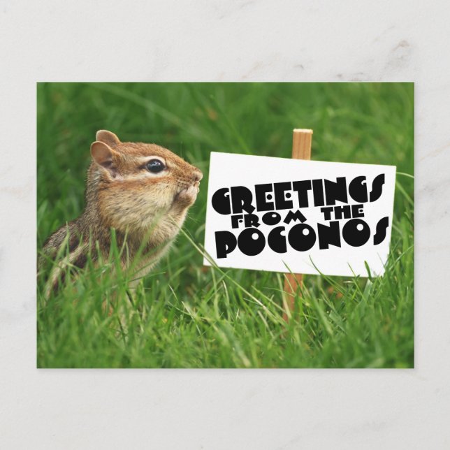 Carte Postale Salutations des Poconos ! Chipmunk avec signe (Devant)