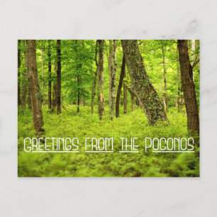 Carte Postale Salutations des Poconos Summer Woods
