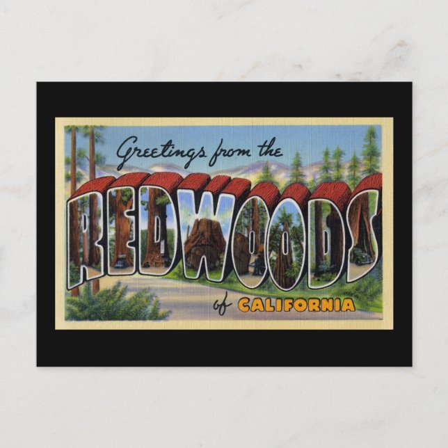 Carte Postale Salutations des séquoias de Californie (Devant)