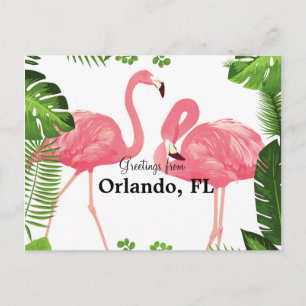 Carte Postale Salutations d'Orlando, FL—flamants roses
