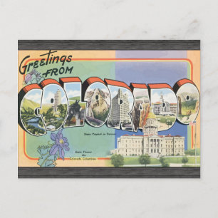 Carte Postale Salutations Du Colorado, Vintage
