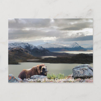 Carte Postale Salutations du Groenland 13