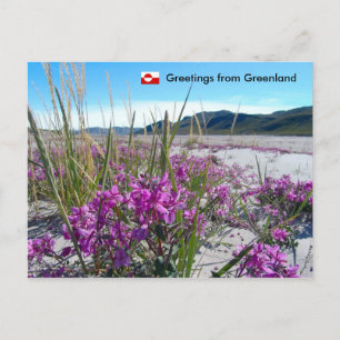 Carte Postale Salutations du Groenland 5