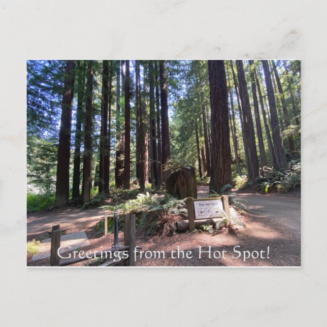 Carte Postale Salutations du Hot Spot ! (Devant)