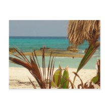 Salutations du paradis !