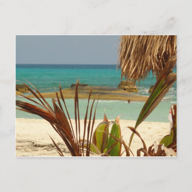 Carte Postale Salutations du paradis ! (Devant)