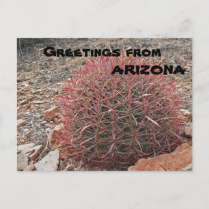 Carte Postale Salutations du Plante de l'Arizona Red Barrel Cact