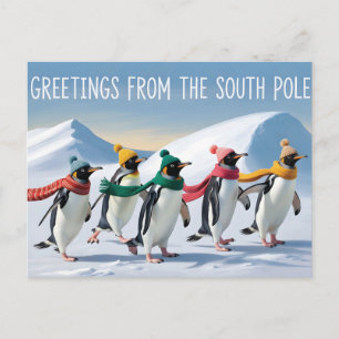 Carte Postale "Salutations du pôle Sud" Conception de manchot