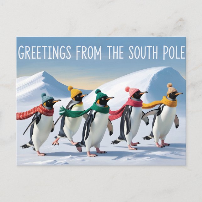 Carte Postale "Salutations du pôle Sud" Conception de manchot (Devant)