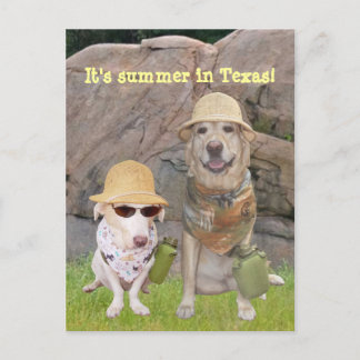 Carte Postale Salutations du Sud chaud !