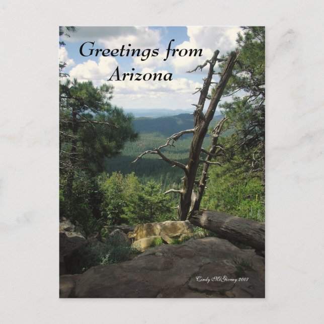 Carte Postale Salutations en Arizona (Devant)