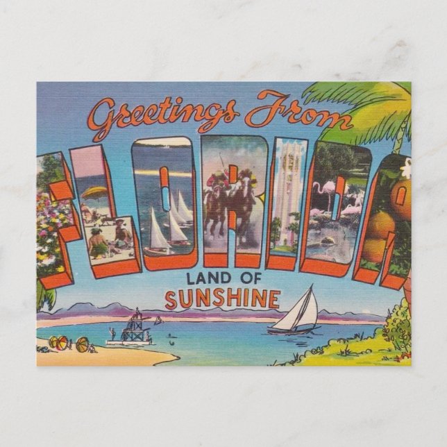 Carte Postale Salutations en Floride (Devant)