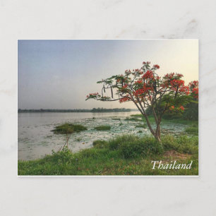 Carte Postale Salutations en Thaïlande