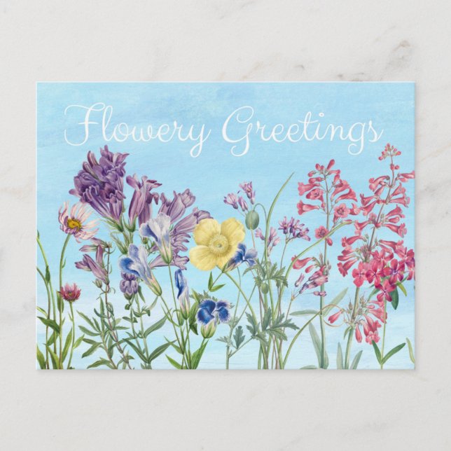 Carte Postale Salutations Florales Illustration Florale (Devant)