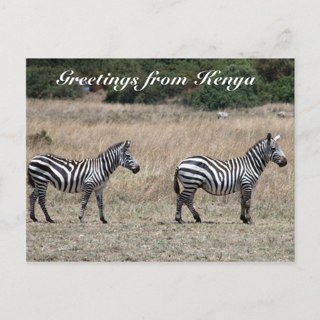 Carte Postale salutations rayées (Devant)
