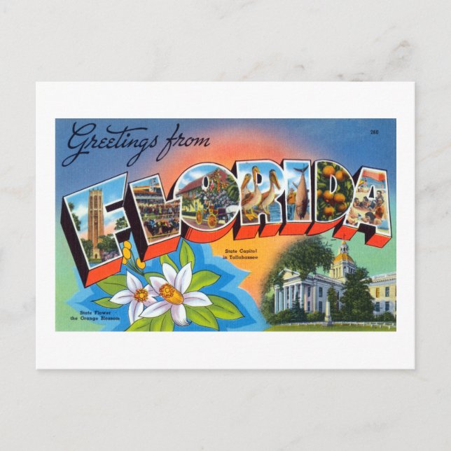 Carte Postale Salutations vintages de Florida Poster (Devant)