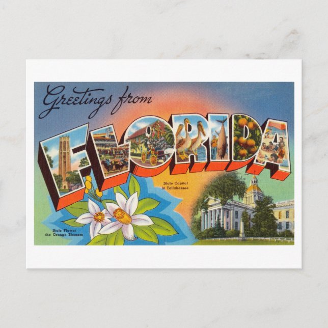 Carte Postale Salutations vintages de Floride (Devant)