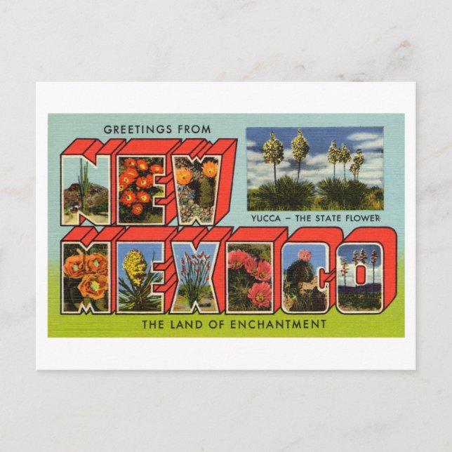 Carte Postale Salutations vintages du Nouveau-Mexique (Devant)