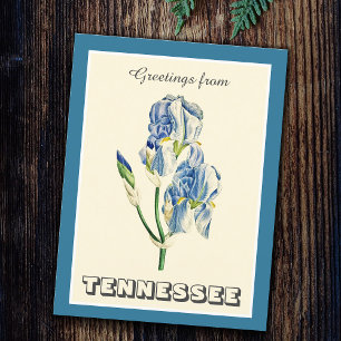 Carte Postale Salutations vintages du Tennessee Blue Iris