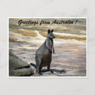 Carte Postale salutations wallabes
