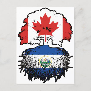 Carte Postale Salvador Salvadorien Canadian Canada Arbre Racines