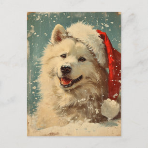 Carte Postale Samoyed noël