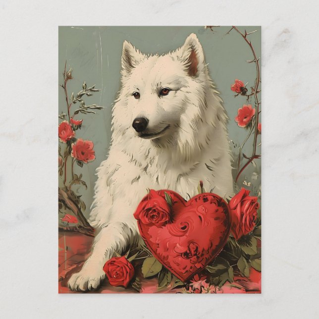 Carte Postale Samoyed Vintage Valentine's day (Devant)
