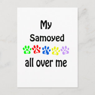 Carte Postale Samoyed Walks Design