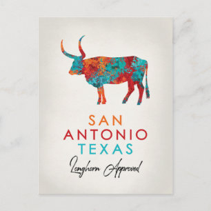 Carte Postale San Antonio Texas Colorful Longhorn